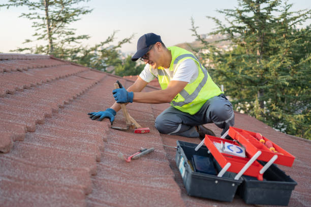 Professional Roofing Contractor in Freer, TX